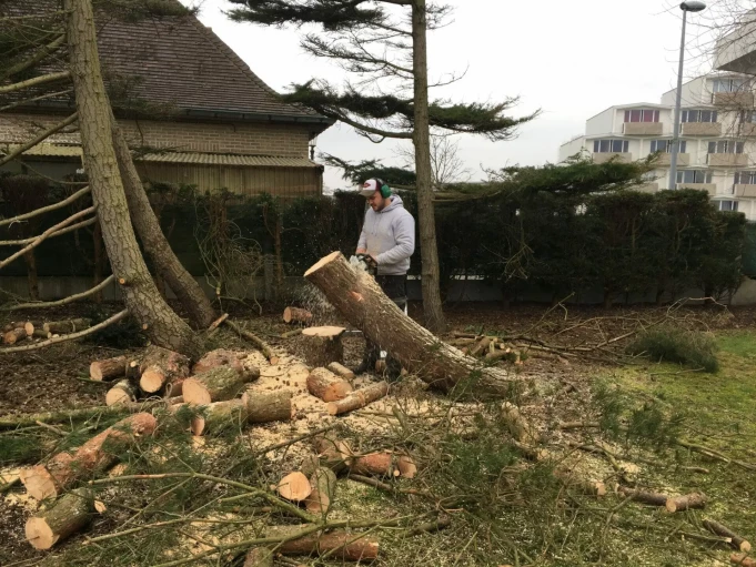 Tuinwerken Wingene, West-Vlaanderen