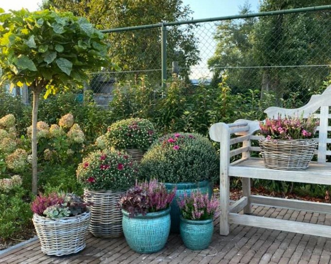 bloem.jpg - Bloemisterij Braeckman, Sleidinge