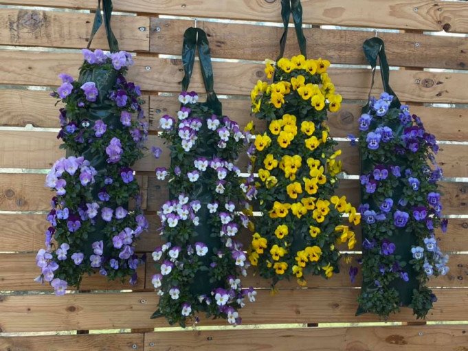 Bloemisterij Braeckman, Sleidinge