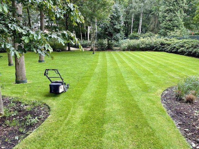 Aanplanting - KDB Tuinen, Beerse