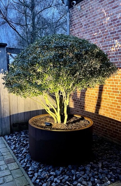 Aanplanting - KDB Tuinen, Beerse