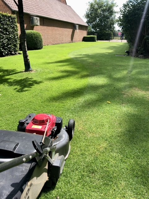 Aanplanting - KDB Tuinen, Beerse