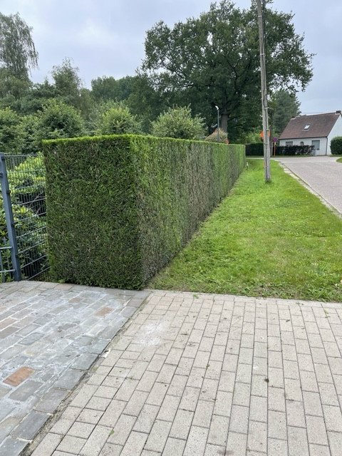 Aanplanting - KDB Tuinen, Beerse