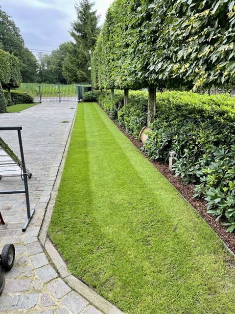 Aanplanting - KDB Tuinen, Beerse