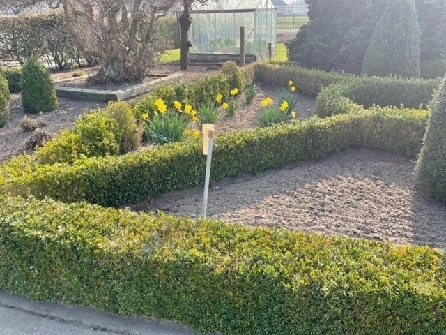 Tuinaannemer in de buurt Kinrooi, Limburg