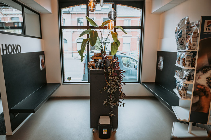 Dap Potiau, Dendermonde