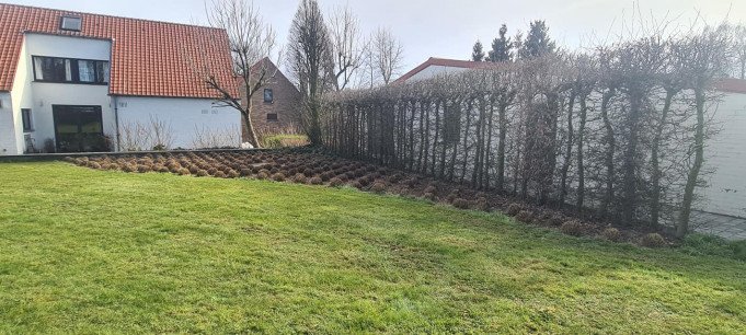 Totaal projecten voor tuin Oudenaarde, Oost-Vlaanderen