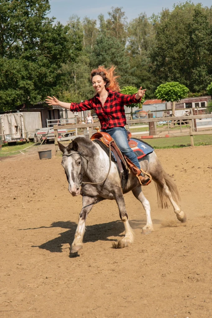 Workshops met paarden Balen, Antwerpen